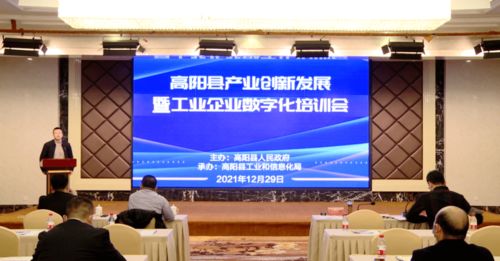 数字赋能 加速转型 高阳县召开产业创新发展暨工业企业数字化培训会