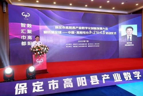 高阳产业数字化创新发展大会暨织遍全球 中国高阳毛巾数字狂欢季