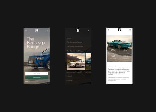 宾利汽车公司网站设计